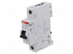 Circuit breaker | 230VAC | 220VDC | Inom: 0.75A | Poles: 1 | Charact: K