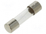 Fuse: fuse | 500mA | 250VAC | time-lag | cylindrical,glass | 5x20mm