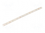 LED tape | white | 24V | LED/m: 112 | W: 10mm | 120&deg; | IP68 | 12W/m