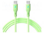 Cable | USB 2.0 | USB C plug,both sides | nickel plated | 1m | green