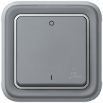 Double pole switch Plexo IP 55 - 10 AX - 250 V - modular - grey