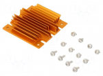 Heatsink: extruded | grilled | BGA | golden | L: 61mm | W: 58mm | H: 11.4mm