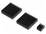 Heatsink: extruded | grilled | Raspberry Pi | black | aluminium