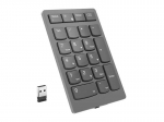 Lenovo | Professional | Go Wireless Numeric Keypad | Numeric Keypad | Wireless | Storm Grey