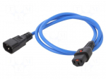 Cable | IEC C13 female,IEC C14 male | 1m | with IEC LOCK locking