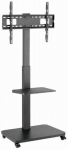 TV mount Gembird 37" - 75" TV floor stand with caster wheels