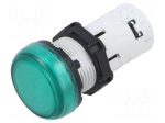 Control lamp | 22mm | Platinum | Kind: flat | green | 12VDC | 12VAC