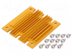 Heatsink: extruded | grilled | BGA | golden | L: 61mm | W: 58mm | H: 6.1mm