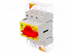 Switch-disconnector | Poles: 3 | DIN | 63A | 400VAC | RSI | IP20 | 6&divide;16mm2