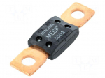 Fuse: fuse | 300A | 32VDC | automotive | 68.6mm | M8 screw | mega