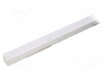 Profiles for LED modules | white | natural | L: 2m | FLOOR12 | recessed