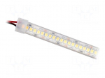 LED tape | white cold | 2835 | LED/m: 120 | 10mm | white PCB | IP65 | 120&deg;