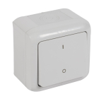 Double pole switch Forix - surface mounting - 10 AX - 250 V - grey