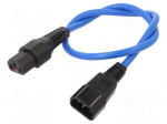 Cable | IEC C13 female,IEC C14 male | 0.5m | with IEC LOCK locking