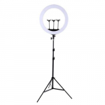LED Ring Lamp 45cm With Desktop Tripod Mount Up To 2.1m