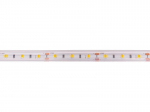 LED strip, 12V, 4.8W/m, waterproof IP67, T shape, cold white, 115lm/W, AKTO