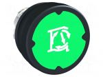 Switch: push-button | 22mm | Stabl.pos: 1 | green | none | IP66 | flat