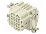 Connector: HDC | contact insert | female | CDD | PIN: 24 | 10A | 600V