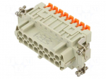 Connector: HDC | contact insert | female | CSH | PIN: 16 | 16A | 600V