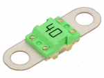Fuse: fuse | automotive | 40A | 58VDC | medium time-lag | 41.6x12x7.8mm