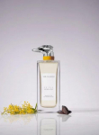Trussardi Le Vie Di Milano EDP 100ml