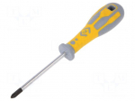 Screwdriver | Phillips | PH2 | Series: Dextro | Blade length: 100mm