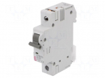 Circuit breaker | 230/400VAC | Inom: 63A | Poles: 1 | Charact: B | 6kA