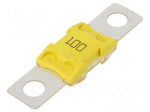 Fuse: fuse | 100A | 32VDC | automotive | 67.3mm | M8 screw | BF2 | copper