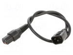 Cable | IEC C13 female,IEC C14 male | 0.5m | with IEC LOCK locking