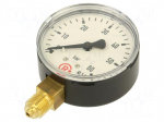Manometer | 0&divide;60bar | bottom connection | Thread: G 1/4" | 63mm | metal