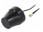 Antenna | SMA | 3m