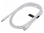 Cable | USB 2.0 | USB C plug,both sides | nickel plated | 1.5m | white