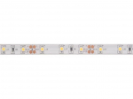 FLEXIBLE LED STRIP - COLD WHITE - 300 LEDS - 5 m - 12 V