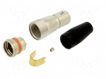 Connector: circular | push-pull | plug | PIN: 12 | 1A | HR25 | gold-plated