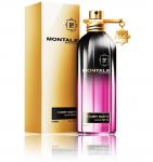 Montale Starry Nights Perfume EDP 100 ml