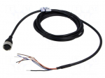 Cable: for sensors/automation | PIN: 6 | M17 female | straight | 2m