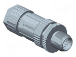 Connector: M12 | plug | PIN: 12 | male | M12 ALTW | 30V | straight | plastic