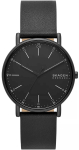 SKAGEN Signatur SKW6902 Men's Watch / silver