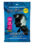 M&auml;nguala | PC | Konsoolid | Tarvikud // Harivad m&auml;nguasjad | Interaktiivsed | Loomingulised | Kunstilised // Karty harry potter magazestaw startowy