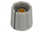 Knob | with pointer | ABS | &Oslash;shaft: 6mm | &Oslash;16x15.5mm | grey