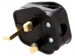 Connector: AC supply | plug | 2P+PE | 250VAC | 5A | black | PIN: 3 | angled
