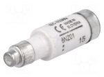 Fuse: fuse | 6A | 400VAC | 250VDC | ceramic,industrial | D01