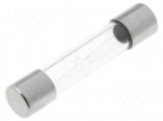 Fuse: fuse | time-lag | 10mA | 250VAC | cylindrical,glass | 6,3x32mm
