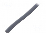Hole and edge shield | PVC | L: 10m | grey | H: 6mm | W: 4mm | -30&divide;70&deg;C