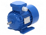 Motor: AC | 3-phase | 0.55kW | 230/400VAC | 2820rpm | IP54 | -30&divide;60&deg;C