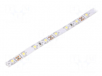 LED tape | white cold | 3528 | LED/m: 60 | 8mm | white PCB | IP20 | 4.8W/m