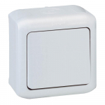 Intermediate switch Forix - surface mounting - 10 AX - 250 V - grey