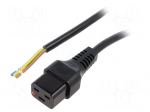 Cable | IEC C19 female,cables | 2m | with IEC LOCK locking | black