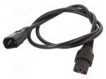 Cable | IEC C13 female,IEC C14 male | 1m | with IEC LOCK locking