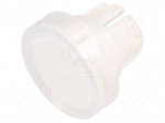Actuator lens | 22mm | 61 | transparent | plastic | Face dim: &Oslash;15.8mm